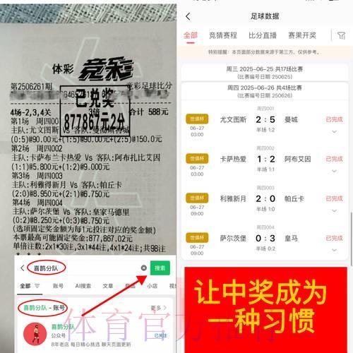 世界杯竞猜攻略:爆冷押注与热门选择哪个更划算? 世界杯竞猜攻略:爆冷押注与热门选择哪个更划算?